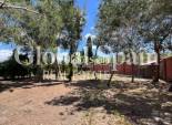 Revente - MAISON -
DOLORES - Comunidad Valenciana
