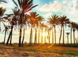 Wederverkoop - APPARTEMENT -
TORREVIEJA - LOS BALCONES - LOS ALTOS