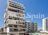 New Build - Apartment -
ALICANTE - PAU 1