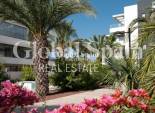 Revente - APPARTEMENT -
ORIHUELA COSTA - Los Dolses