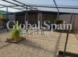 Resale - HOUSE -
ELCHE - Costa Blanca