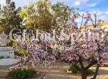 Neubau - VILLA -
LOS URRUTIAS - Estrella de Mar