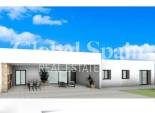 Nueva construcción  - VILLA -
ASPE - Poligono 19