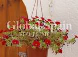 Resale - VILLA -
VILLAMARTÍN - Costa Blanca