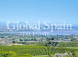 Resale - VILLA -
SAN MIGUEL DE SALINAS - Inland