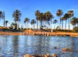 Nouvelle construction - PENTHOUSE -
TORREVIEJA - Playa de El Cura