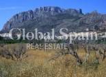Nowo zbudowane - PENTHOUSE -
EL VERGER - 