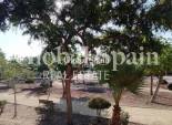 Venta - APARTAMENTO -
ORIHUELA COSTA - LOMAS CABO ROIG
