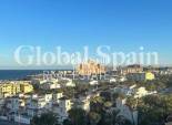 Wederverkoop - PENTHOUSE -
TORREVIEJA - Torreblanca
