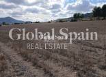 Resale - LAND -
YECLA - Inland