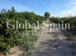 Resale - HOUSE -
ALBATERA - Inland