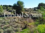Odsprzedaż - DZIAŁKA GRUNTU -
PINAR DE CAMPOVERDE - Inland