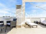 New Build - VILLA -
VERA - Vera Playa