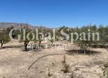 Revente - VILLA -
CREVILLENTE - Inland