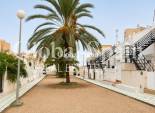 Wederverkoop - APPARTEMENT -
TORREVIEJA - Torre del moro