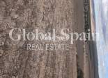 Venta - TERRENO -
YECLA - Inland