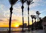 Revente - APPARTEMENT -
TORREVIEJA - Playa del Cura