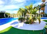 Wiederverkauf - WOHNUNG -
TORREVIEJA - Punta Prima