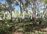 Venta - TERRENO -
CABO ROIG - Costa Blanca
