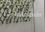 Resale - HOUSE -
SAN PEDRO DEL PINATAR - Villananitos