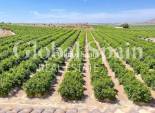 Wederverkoop - APPARTEMENT -
ALGORFA - Inland