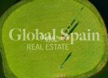 New Build - VILLA -
PILAR DE LA HORADADA - Lo Romero Golf
