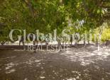 Revente - APPARTEMENT -
TORREVIEJA - Playa de los Naufragos