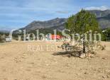 Venta - TERRENO -
ALTEA