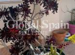 Revente - APPARTEMENT -
ORIHUELA COSTA - LOS BALCONES - LOS ALTOS