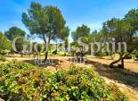 Venta - VILLA -
ORIHUELA COSTA - Costa Blanca