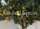 Resale - HOUSE -
TORREVIEJA - Aguas Nuevas