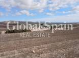 Venta - TERRENO -
YECLA - Inland
