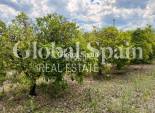 Wiederverkauf - VILLA -
EL RÀFOL D'ALMÚNIA - El Ràfol D'Almúnia