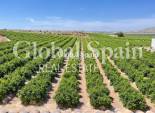 Wederverkoop - APPARTEMENT -
ALGORFA - Inland