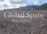 Venta - TERRENO -
YECLA - Inland