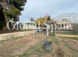 Resale - VILLA -
ELCHE - Costa Blanca