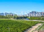 Resale - APARTMENT -
ALGORFA - Inland