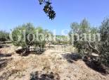 Wederverkoop - HUIS -
LA MARINA - Costa Blanca