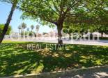 Resale - APARTMENT -
TORREVIEJA - Playa de los Locos