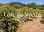 Wiederverkauf - VILLA -
EL RÀFOL D'ALMÚNIA - El Ràfol D'Almúnia