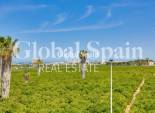 Venta - CASA -
TORREVIEJA - LOS BALCONES - LOS ALTOS