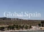 Revente - PENTHOUSE -
SAN MIGUEL DE SALINAS - Inland
