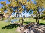 Wiederverkauf - WOHNUNG -
TORREVIEJA - Punta Prima