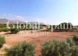 Venta - CASA -
ALBATERA - Albatera - Country