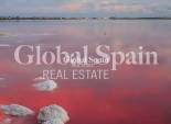 New Build - APARTMENT -
TORREVIEJA - Lago Jardín II