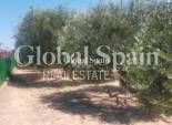 Resale - VILLA -
ELCHE - Costa Blanca