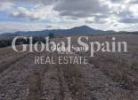 Resale - LAND -
YECLA - Inland