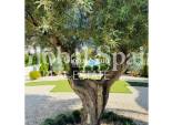 Wederverkoop - PENTHOUSE -
ROJALES - Inland