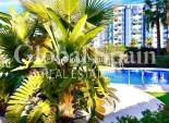 Wiederverkauf - WOHNUNG -
TORREVIEJA - Punta Prima