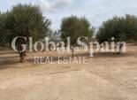 Revente - MAISON -
FUENTE ÁLAMO DE MURCIA - Inland
